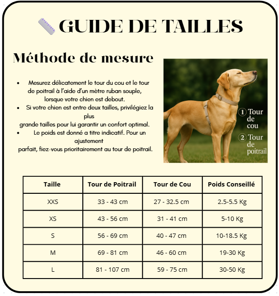 Harnais pour chien