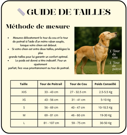 Harnais pour chien