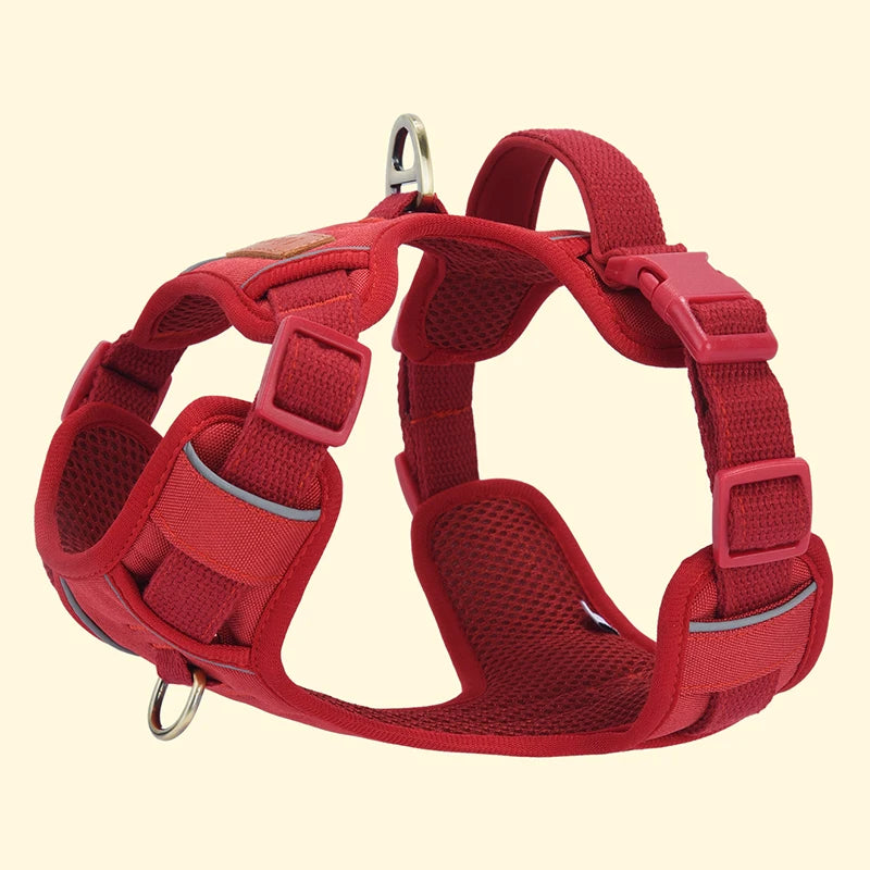 Harnais pour chien 