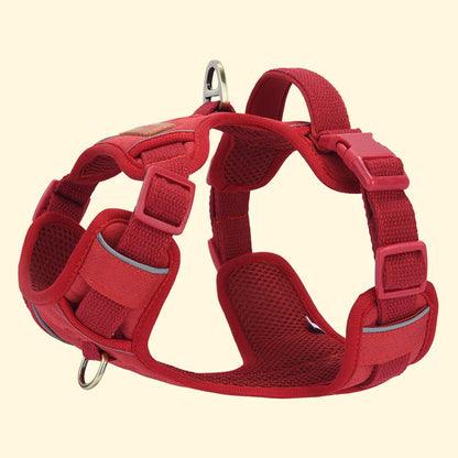 Harnais pour chien 